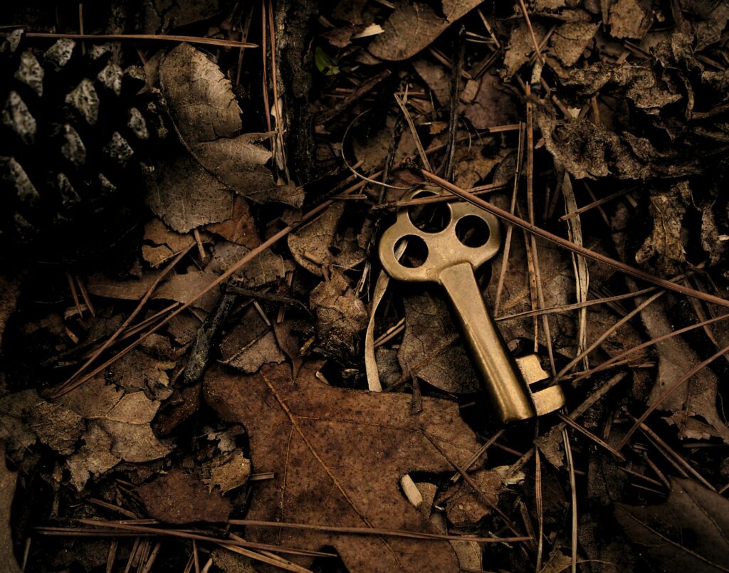 落ち葉に埋もれた鍵