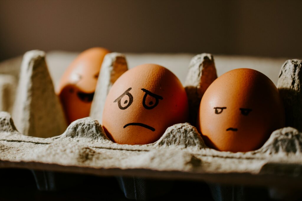 悲しい顔をした卵